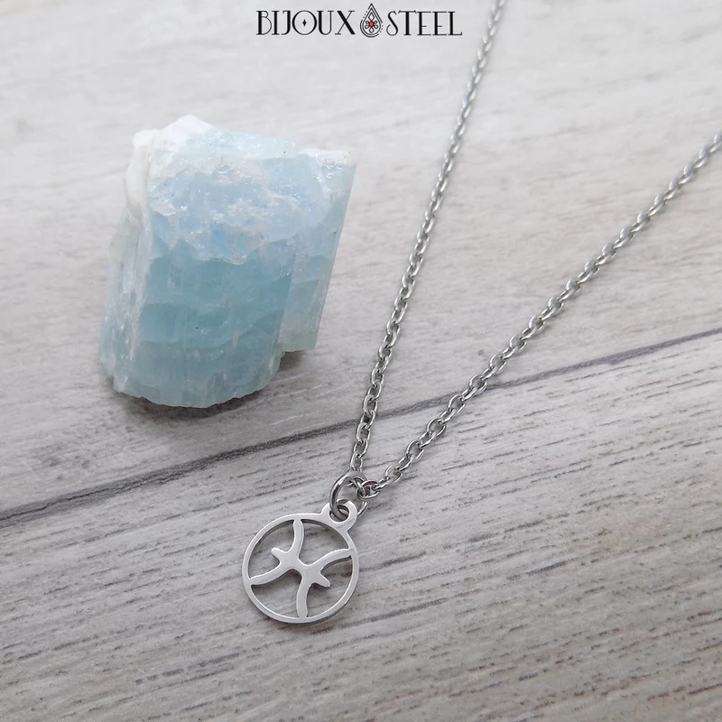 Collier à pendentif signe astrologique argenté en acier inoxydable