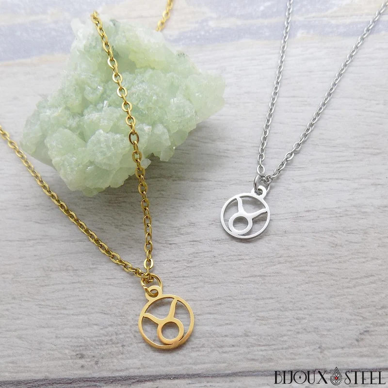 Collier à pendentif signe astrologique taureau en acier inoxydable