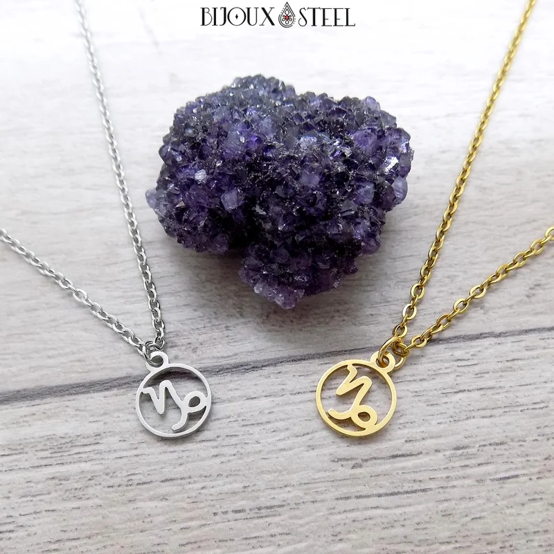 Collier à pendentif signe astrologique capricorne en acier inoxydable