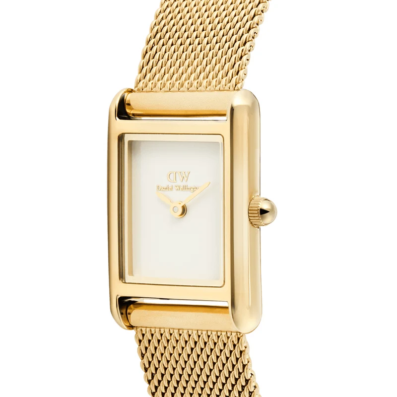 Daniel Wellington Bound Mini Evergold Blanc Montre Femme DW00100928