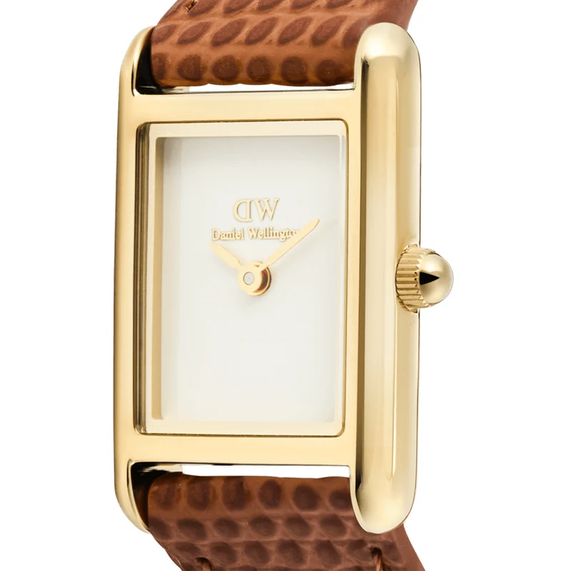 Daniel Wellington Bound Mini Marron Clair Lizard Montre Femme DW00100905