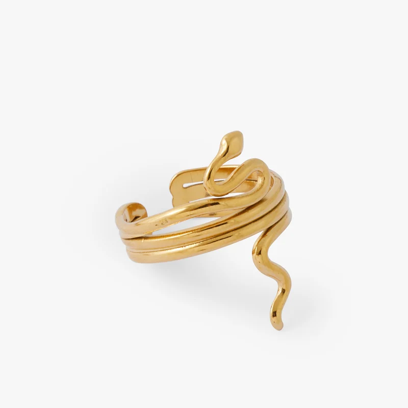 Bague serpent Acier