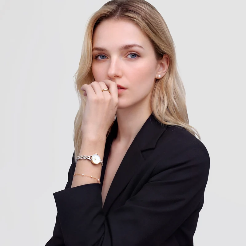 Daniel Wellington Petite Mini Arch 3-Link Bicolore Montre Femme DW00100923