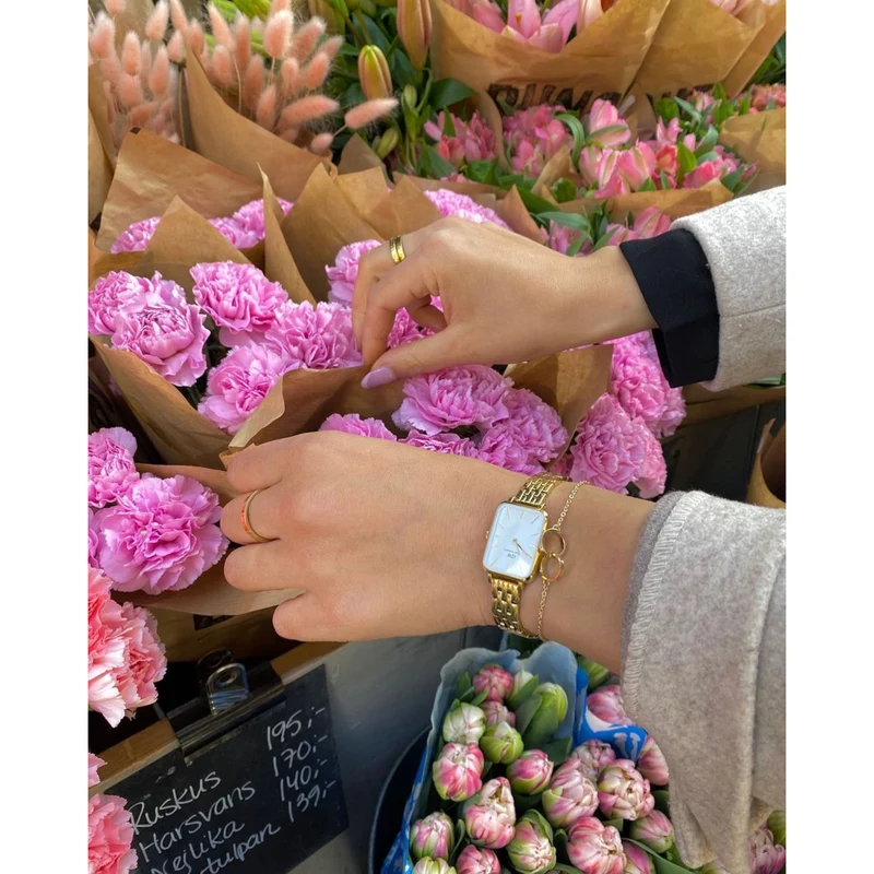 Daniel Wellington Quadro Link Femmes Montre Or DW00100622