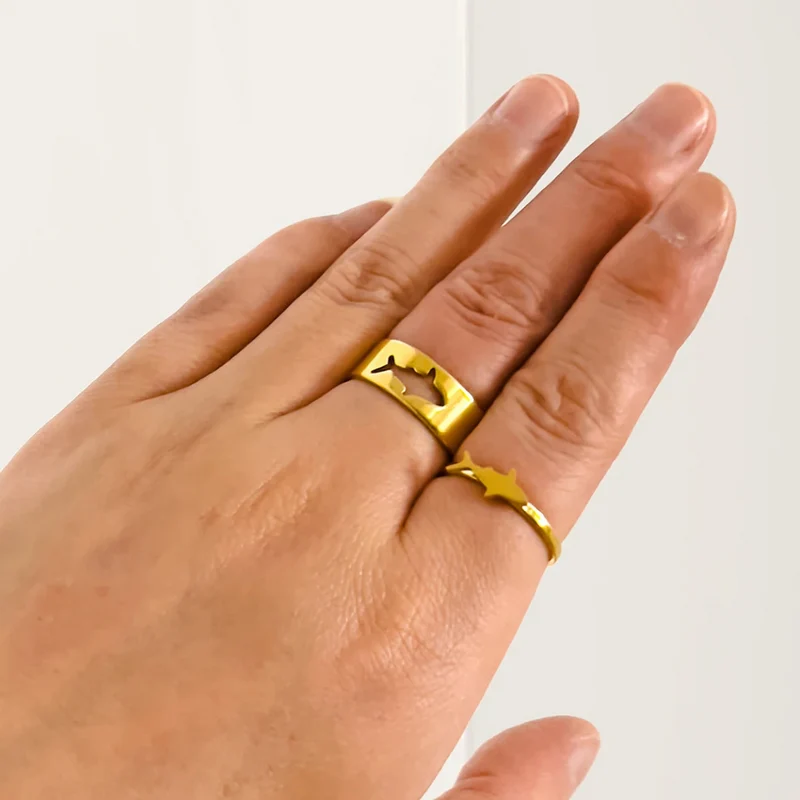 Double Bague Requin