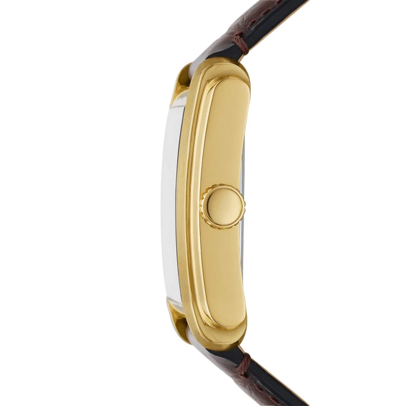 Fossil Carraway Hommes Montre Marron FS6011