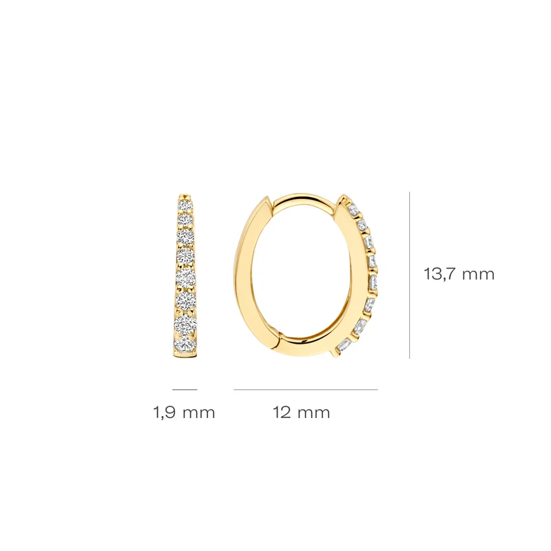 Blush Boucles d'oreilles en or 14 carats 7341YZI