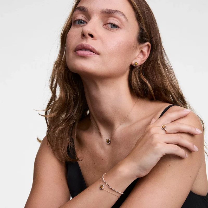 Daniel Wellington Audrey Tiger Eye Boucles d'oreilles DW00401421