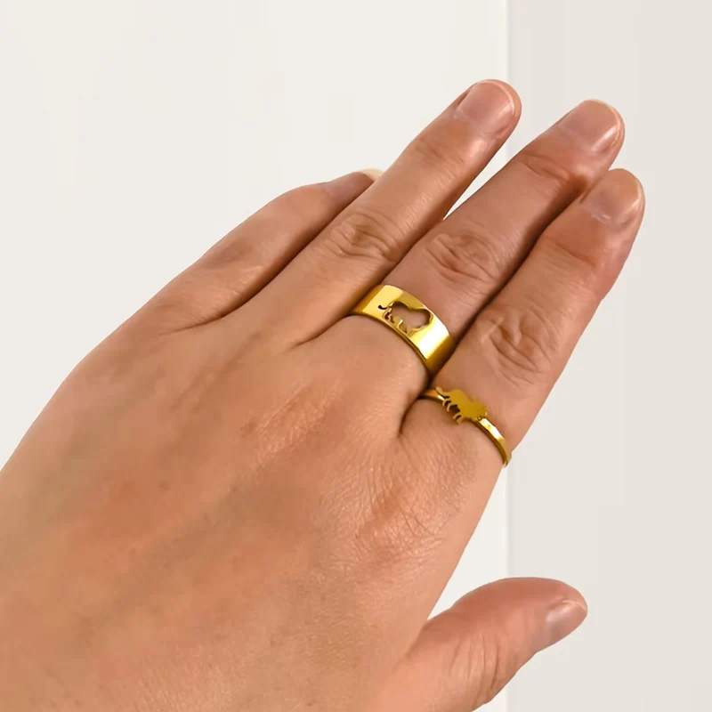 Double Bague Lion