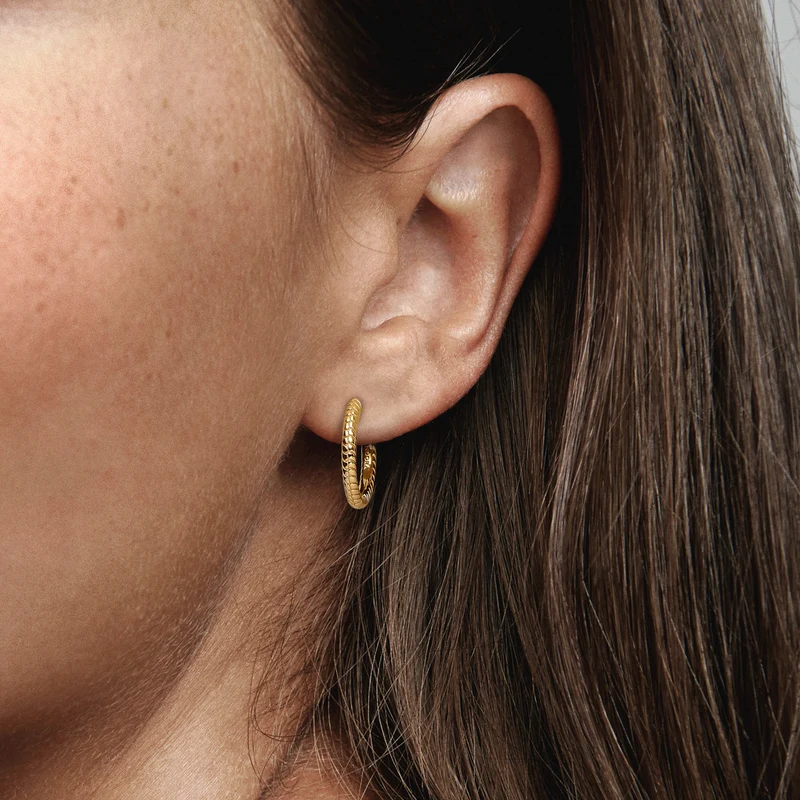 Pandora Moments Earrings 262728C00with14 Carat Gold Plating