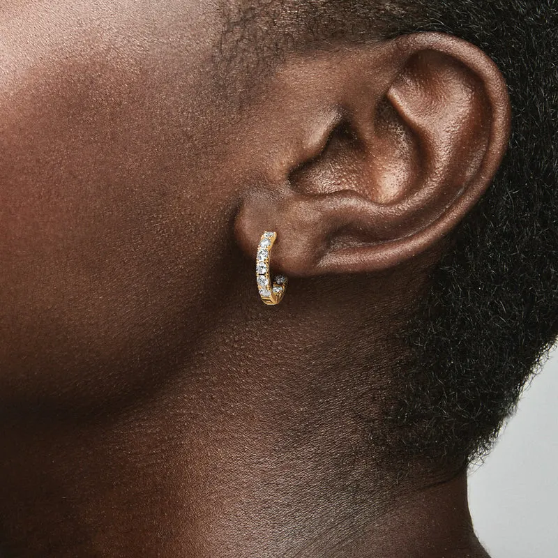 Pandora Timeless Gold-coloured Earrings 263002C01with14 Carat Gold Plating