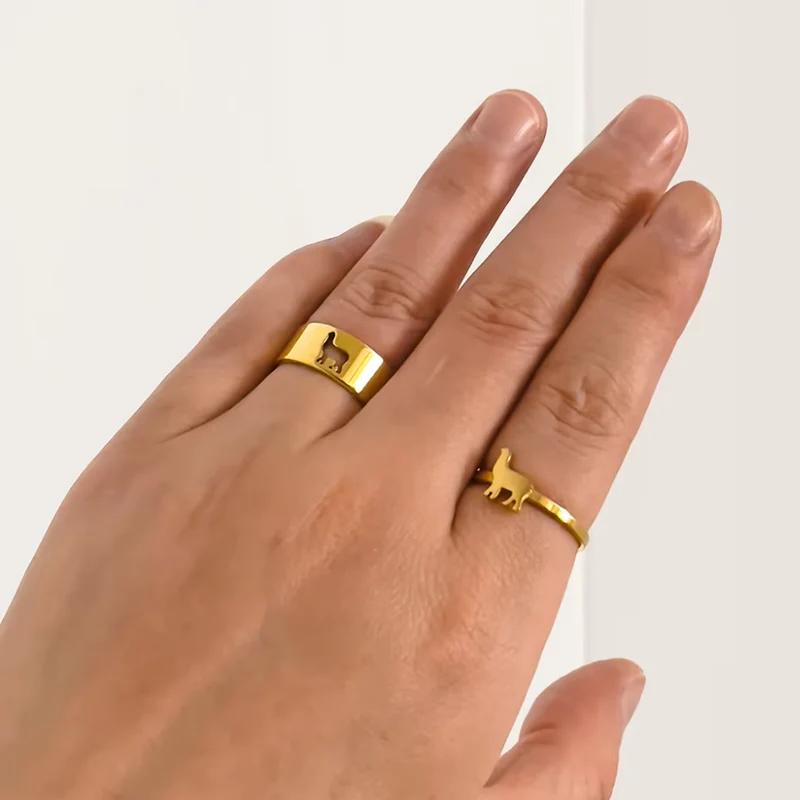Double Bague Lama