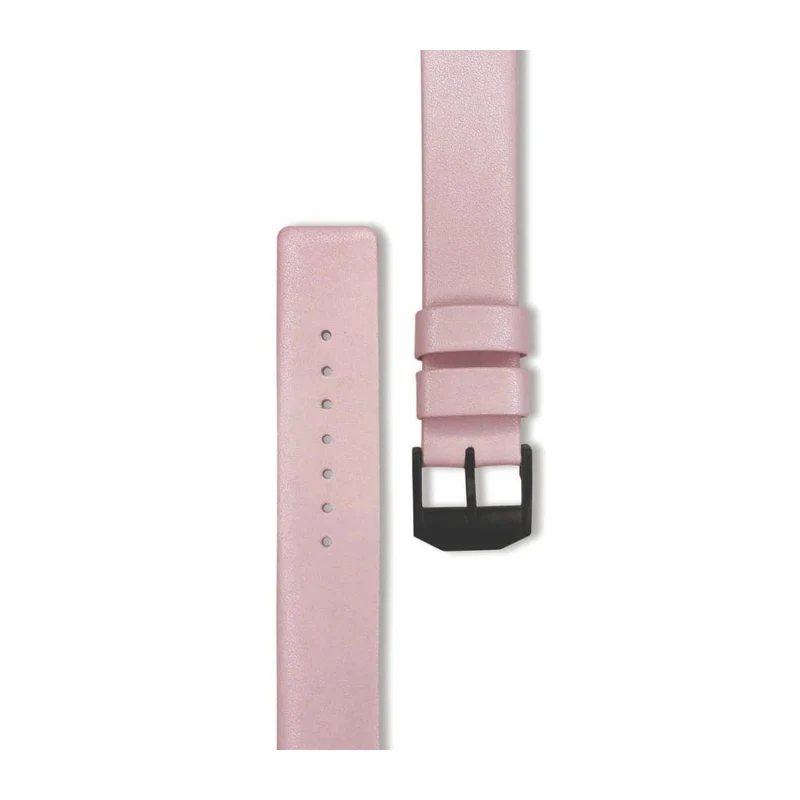 Bracelet Montre Interchangeable