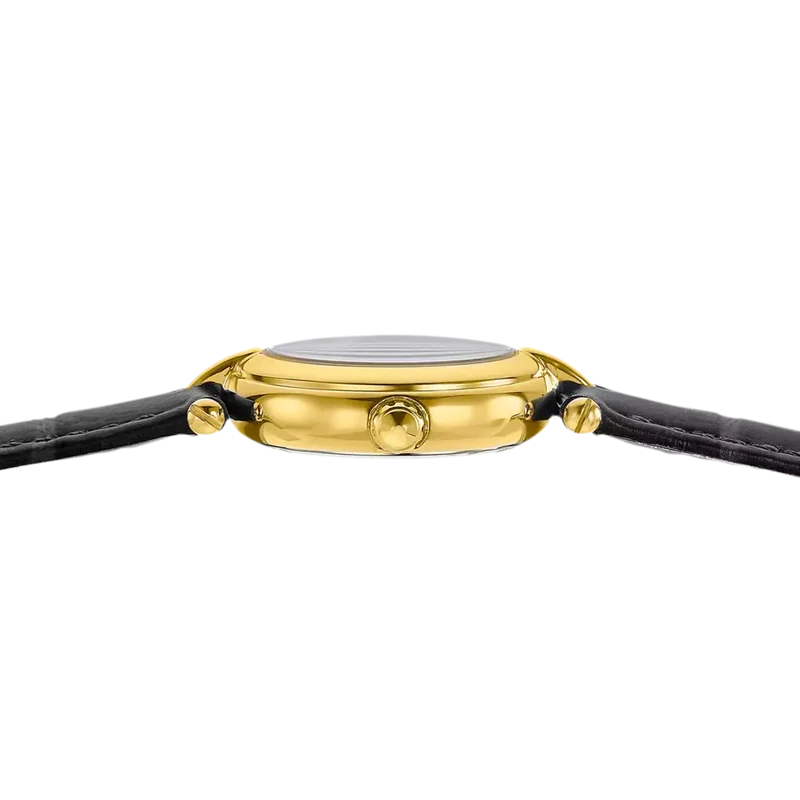 Montre Festina Mademoiselle F20788_1