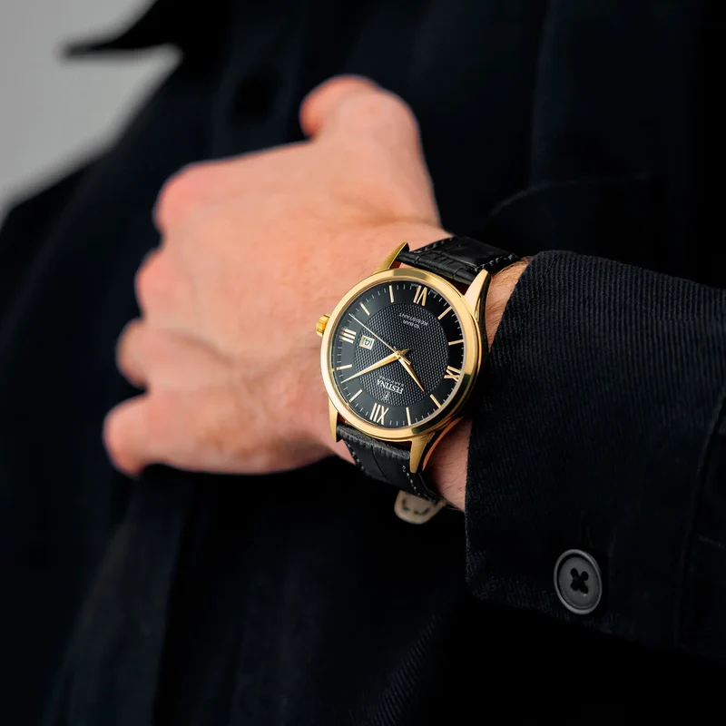Montre Festina Suisse Cuir F20010_4